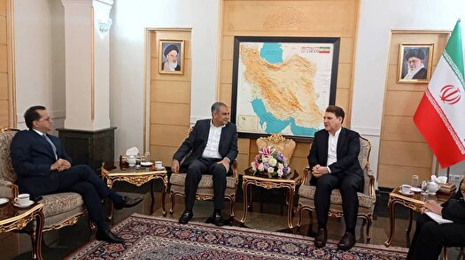وزیر کشور پاکستان وارد تهران شد