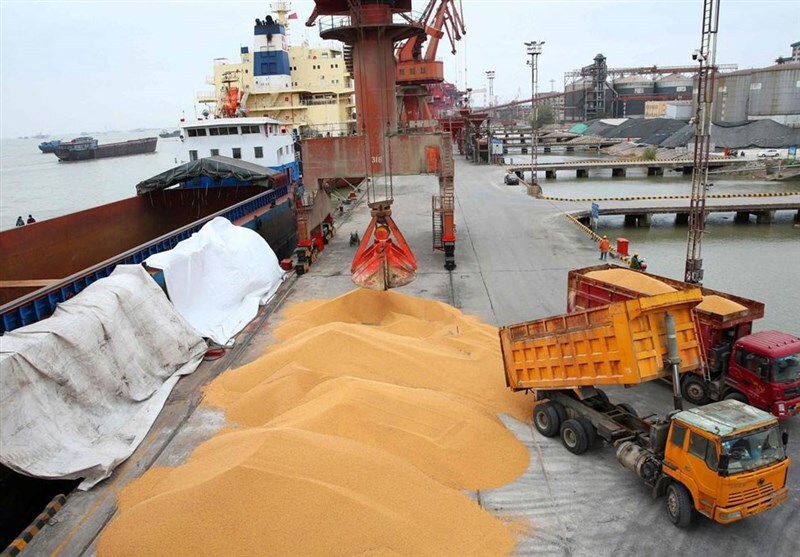 ورود سازمان بازرسی به معضل کمبود نهادههای دامی