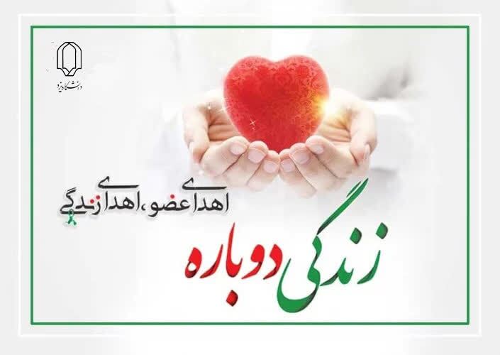 دانشجوی حادثه دیده دانشگاه یزد درگذشت؛ اهدای عضو به سه بیمار