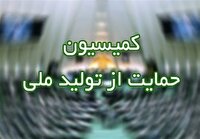 بررسی گزارش بسیج سازندگی در کمیسیون حمایت از تولید مجلس