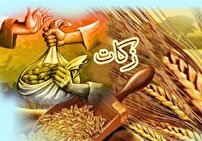 مهریز، الگوی مشارکت مردمی در اجرای طرح‌های زکات