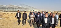 بازدید معاون رئیس‌جمهور از شهرک گلخانه‌ای خلیفه‌لو و کارخانه داروسازی