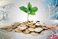 حمایت صندوق کارآفرینی امید از۵۴ شرکت دانش بنیان یزدی