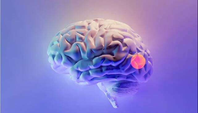 طراحی دارویی به صورت قطره بینی برای حذف تومورهای مغزی