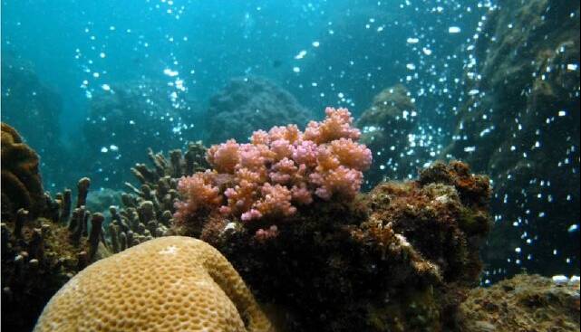 پیش‌بینی آینده با حباب‌های گاز آتشفشانی!