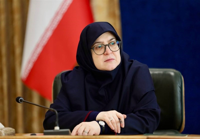 تشریح ابعاد مصوبه بنزینی توسط سخنگوی دولت