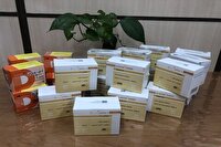 اجرای طرح مکمل‌یاری ویتامین D در دانشگاه علوم پزشکی یزد