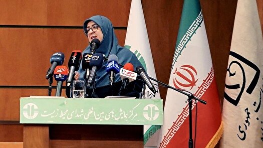 مهاجرانی : سیاستگذاری باید ترکیبی از نگاه زن و مرد باشد