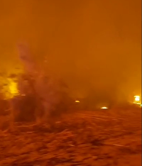 حریق گسترده در نیزار‌های اطراف تصفیه‌خانه یزد؛ علت حادثه همچنان نامشخص