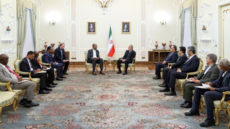 تأکید رئیس جمهور بر توسعه همکاری های دوجانبه با اتیوپی