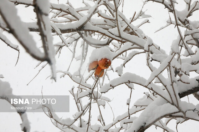 آخرین وضعیت فعالیت سامانه بارشی در استان یزد