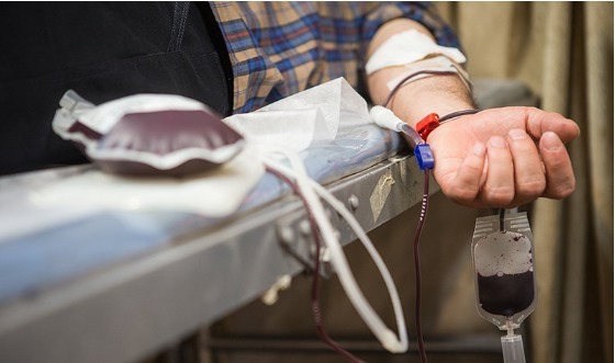 اهدای خون؛ نیازی همیشگی برای نجات جان بیماران در فصل سرما