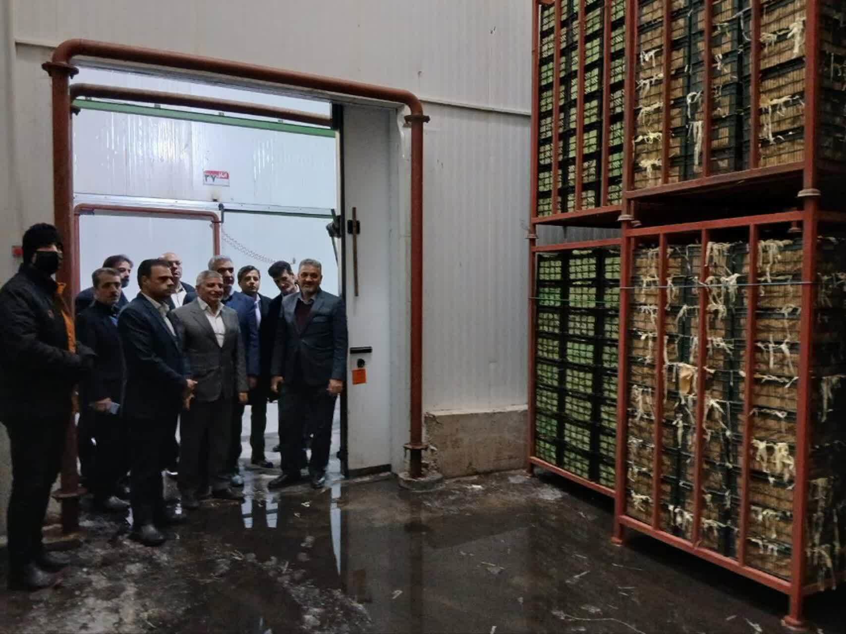 آمادگی کامل یزد برای نوروز ۱۴۰۵ و رمضان