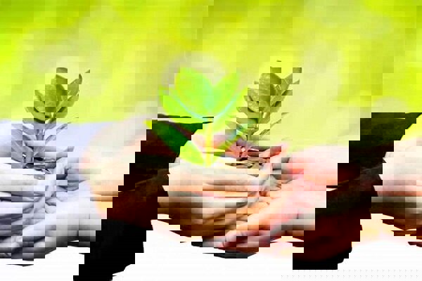 استاد حوزه: روش فریب شیطان، ترساندن از فقر هنگام انفاق است