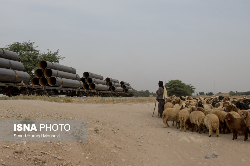 رشد ۳۳ درصدی طرح‌های روستایی در استان یزد
