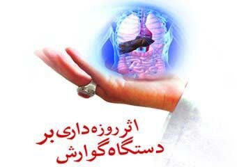 روزه‌داری؛ فرصتی برای بازسازی گوارش و پیشگیری از بیماری‌ها