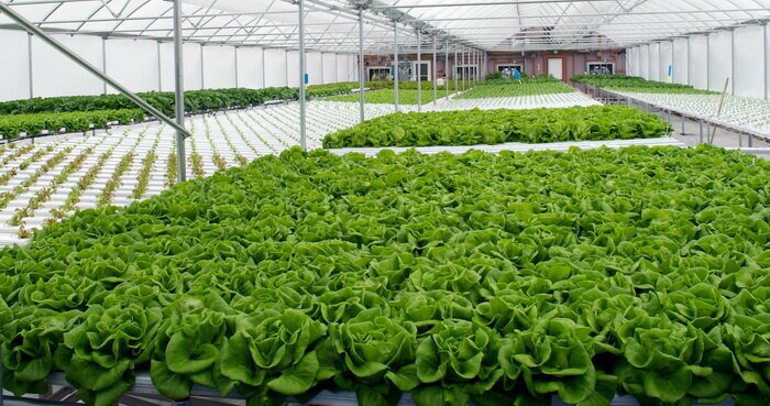 پایش و شناسه کردن واحد‌های بهره برداری کشاورزی