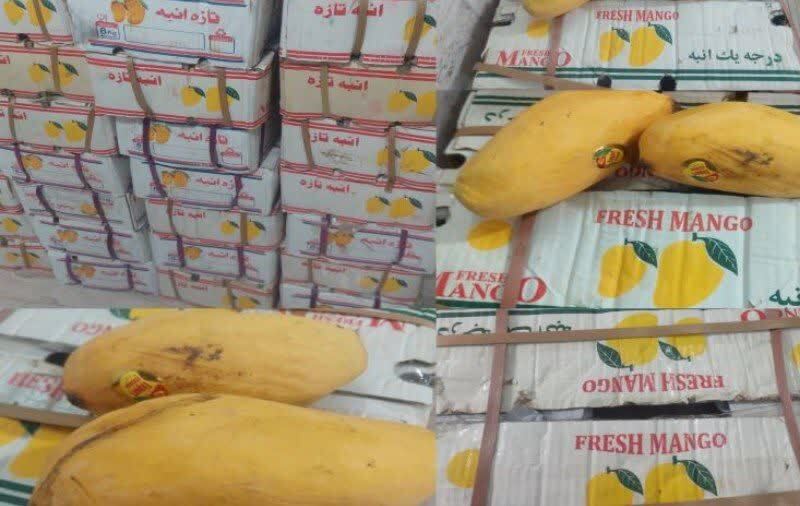 خبر یزد