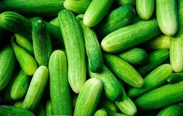 خبر یزد