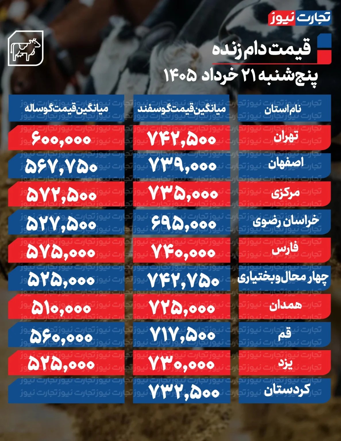 خبر یزد