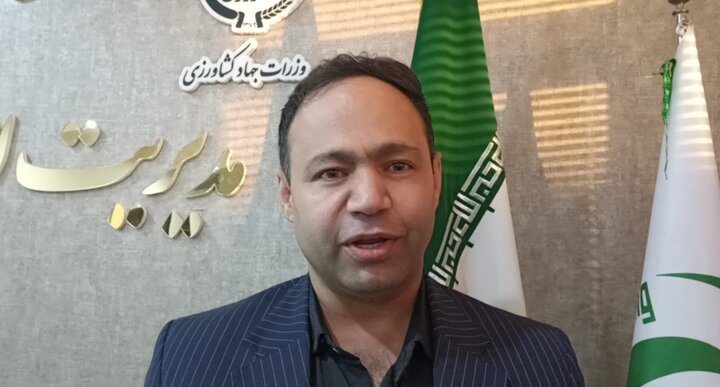 خبر یزد