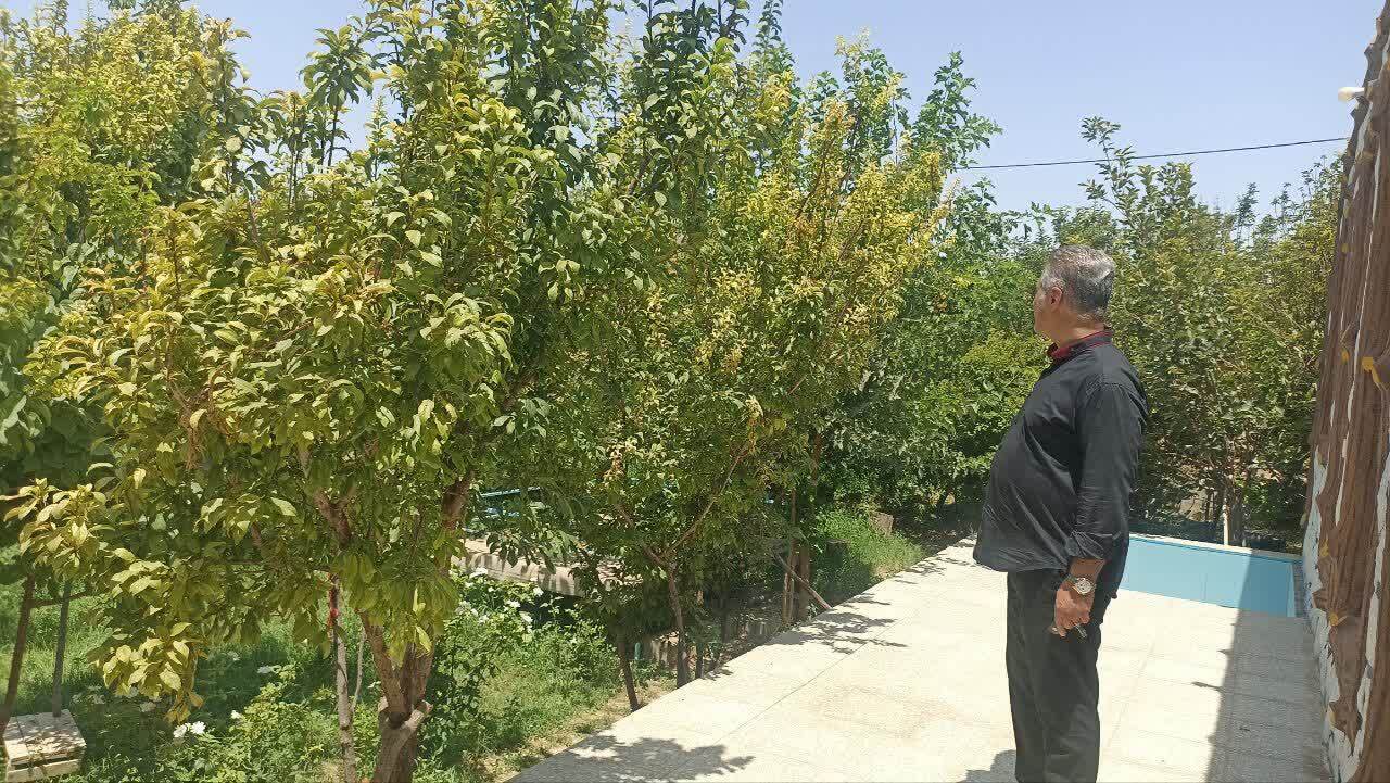 خبر یزد