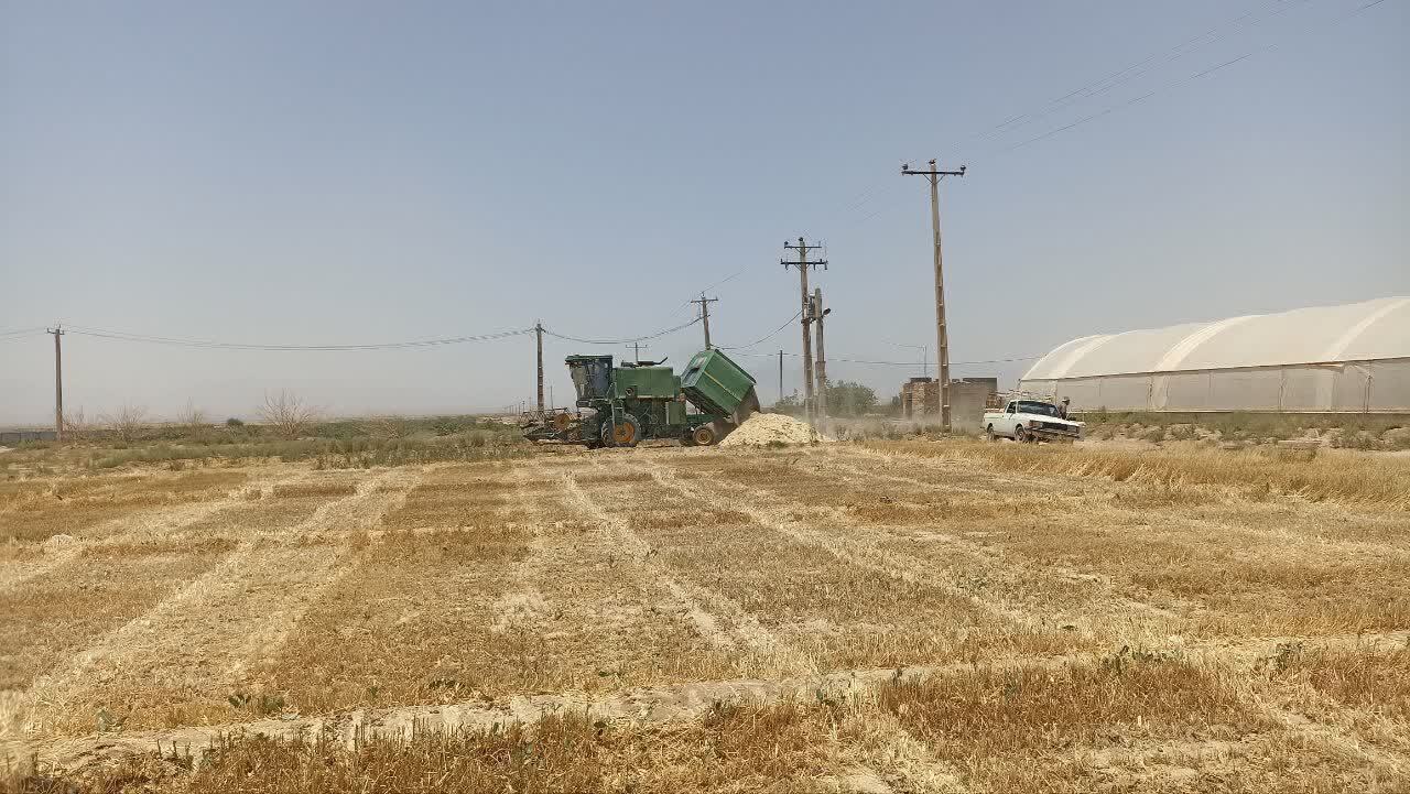 خبر یزد