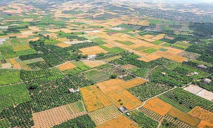 خبر یزد