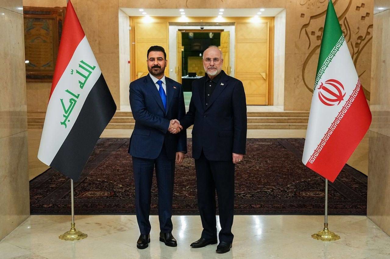 نخست وزیر عراق با رئیس مجلس دیدار کرد