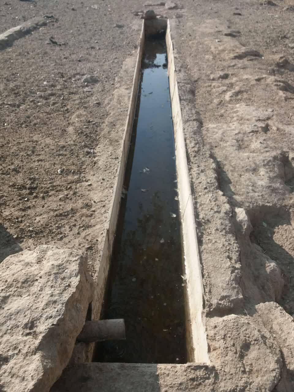 خبر یزد