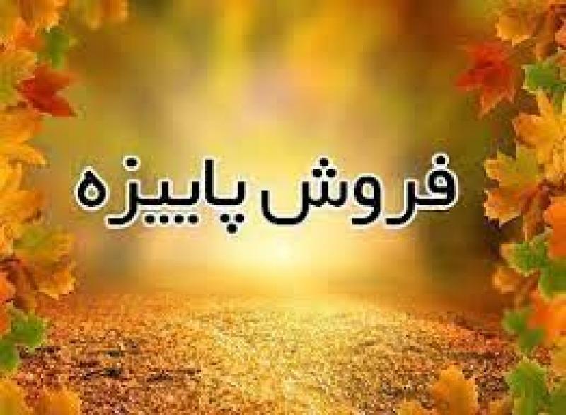 خبر یزد