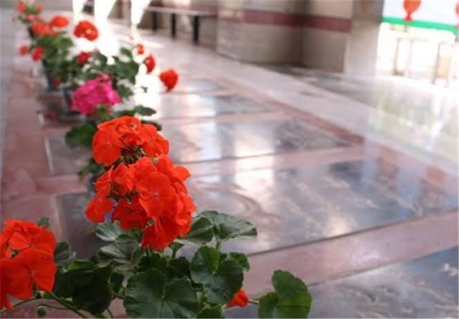 غبارروبی و عطرافشانی گلزار شهدای هرات