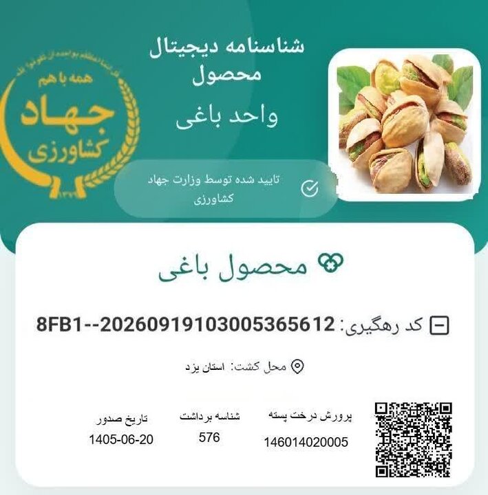 خبر یزد