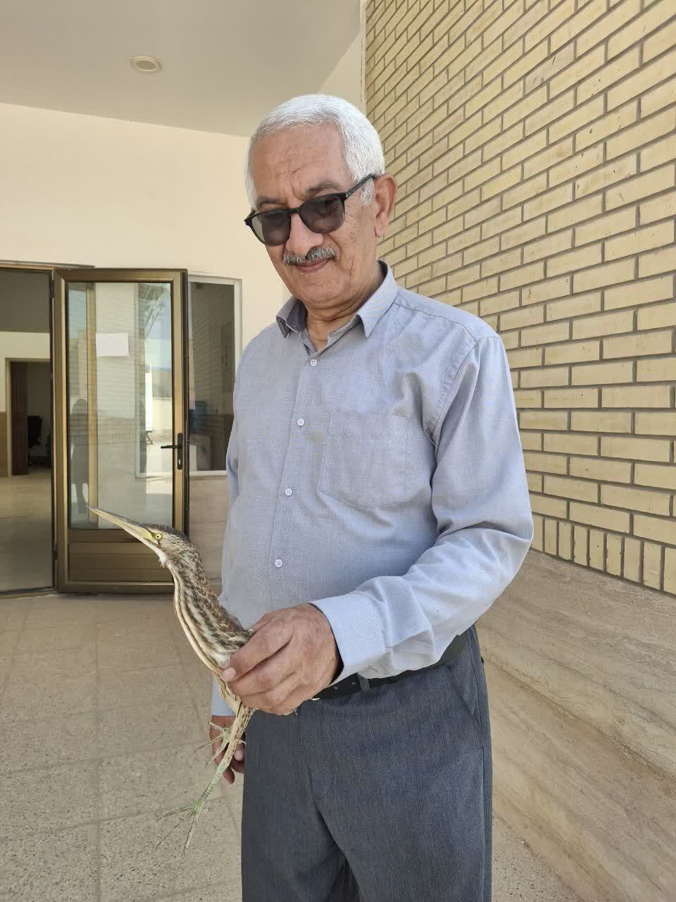خبر یزد