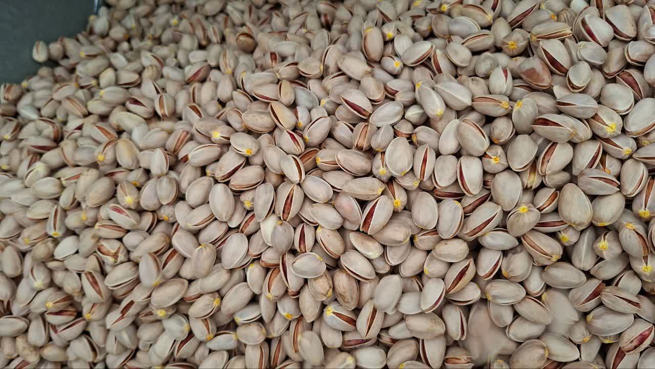 خبر یزد
