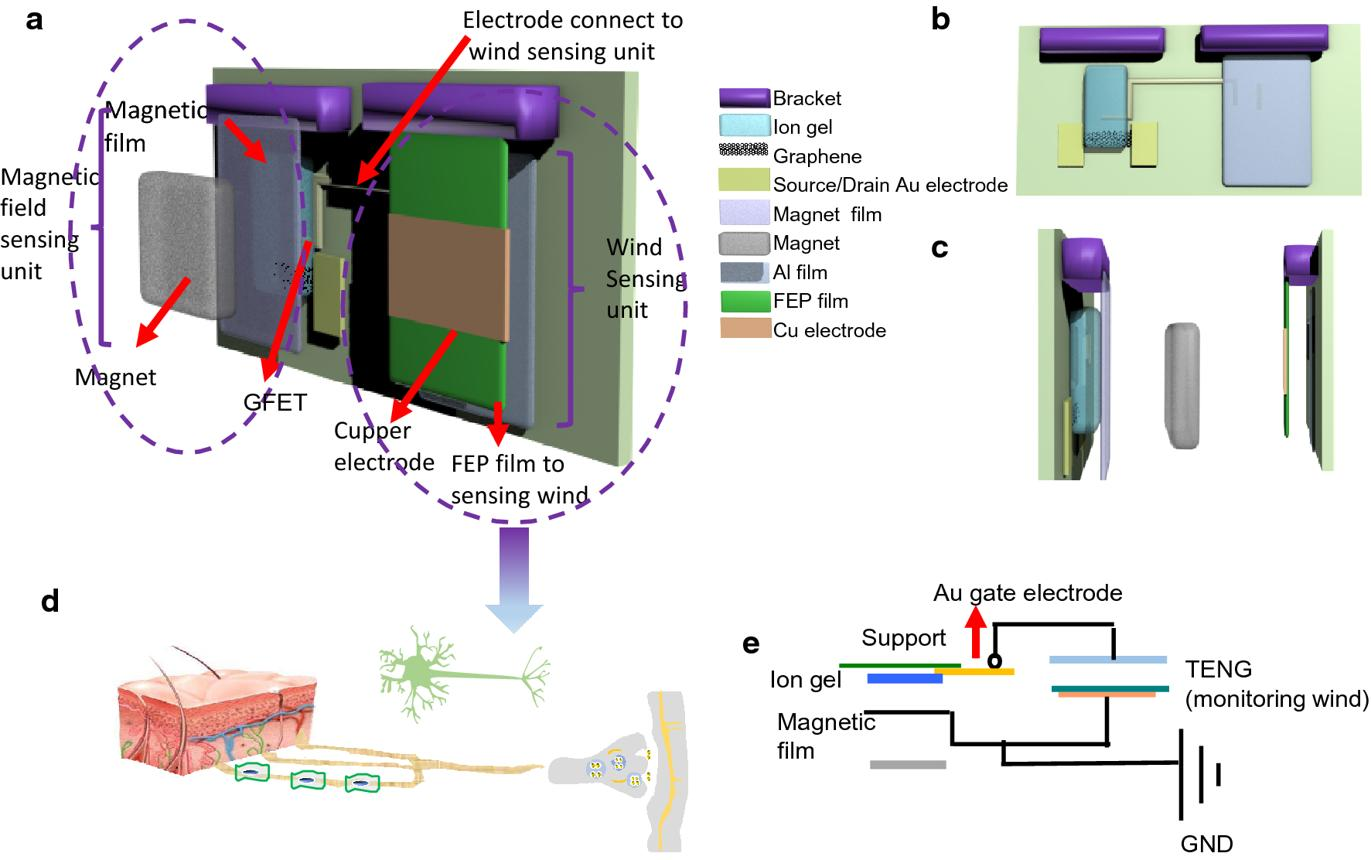 خبر یزد
