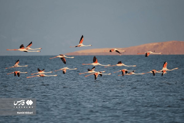 عکس هایی زیبا از حال و هوای پاییزی دریاچه ارومیه