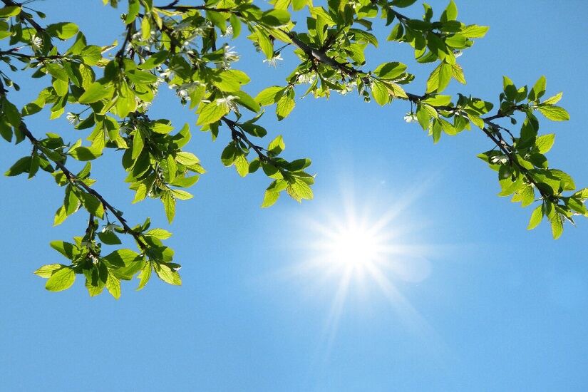 دمای هوا در خراسان رضوی پایدار است
