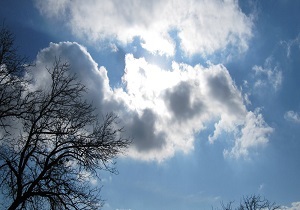خبر یزد