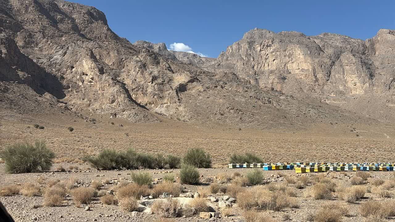 آغاز سرشماری زنبورستان‌های شهرستان مهریز